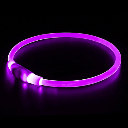 BSEEN USB Rechargeable LED Dog Collar - Enhanced Night Visibility for Small, Medium, and Large Dogs (Blue)
