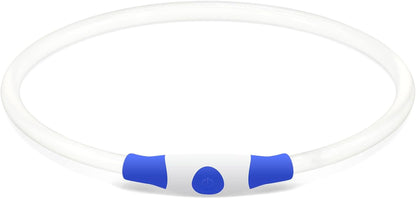 BSEEN USB Rechargeable LED Dog Collar - Enhanced Night Visibility for Small, Medium, and Large Dogs (Blue)