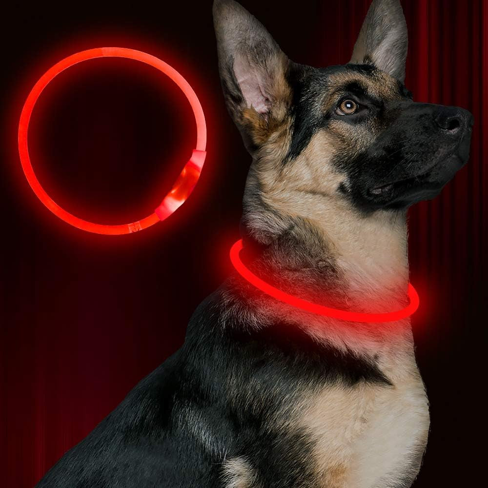 BSEEN USB Rechargeable LED Dog Collar - Enhanced Night Visibility for Small, Medium, and Large Dogs (Blue)