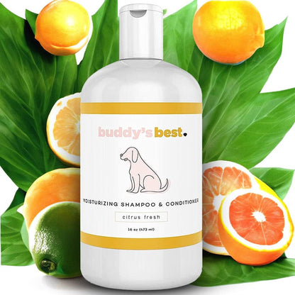 Buddy's Best Oatmeal Dog Shampoo and Conditioner for Sensitive Skin - Moisturizing Formula with Citrus Fresh Scent, 16 oz