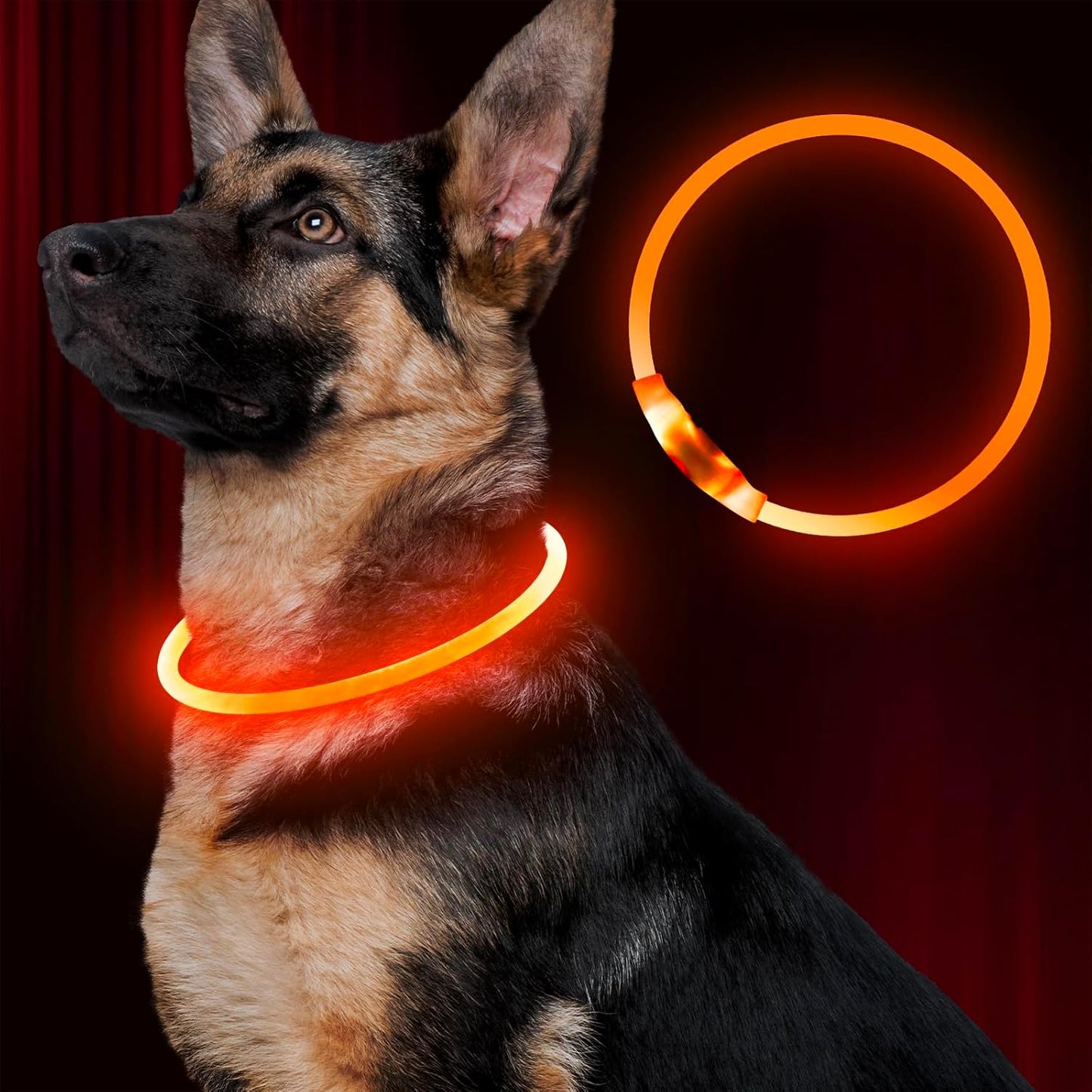 BSEEN USB Rechargeable LED Dog Collar - Enhanced Night Visibility for Small, Medium, and Large Dogs (Blue)