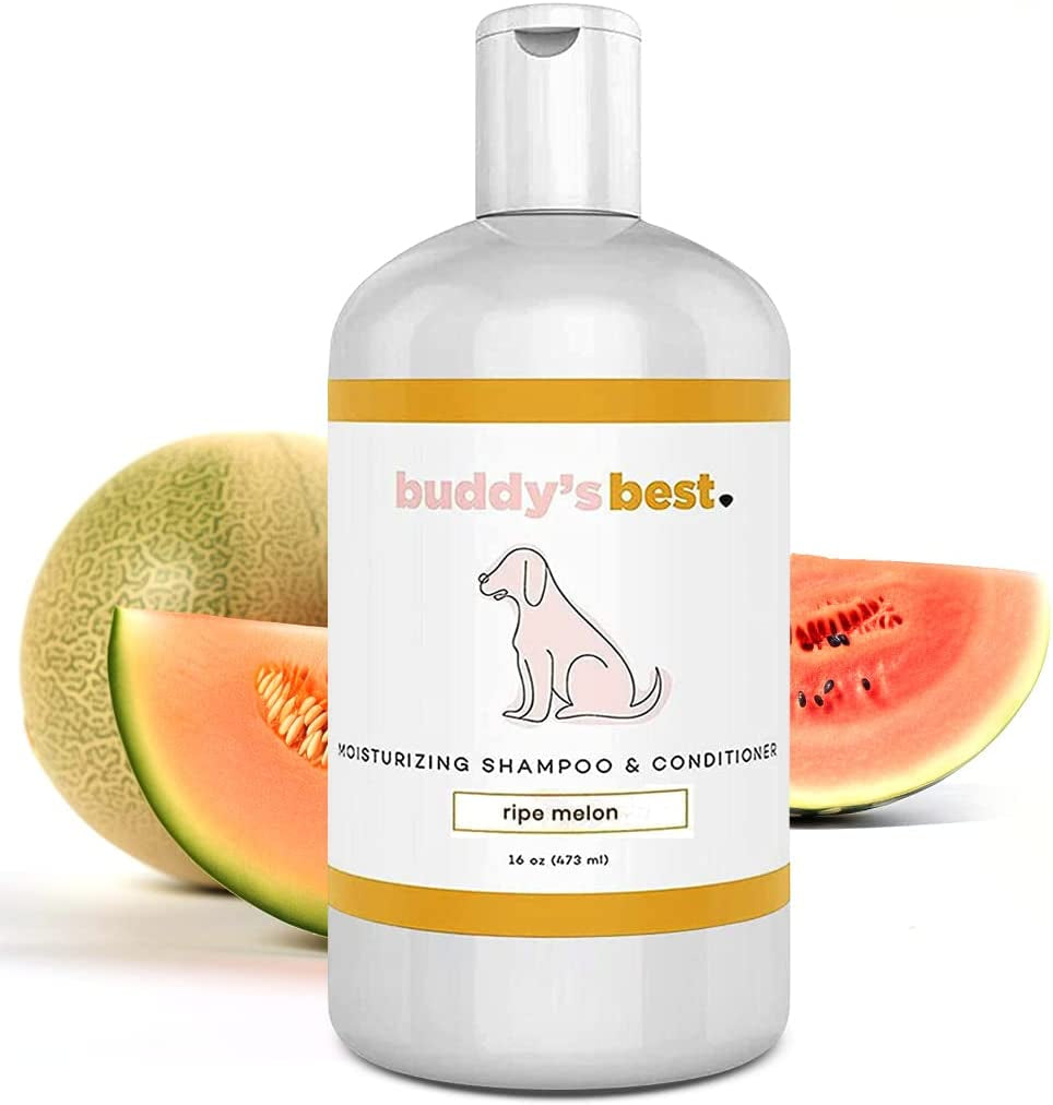 Buddy's Best Oatmeal Dog Shampoo and Conditioner for Sensitive Skin - Moisturizing Formula with Citrus Fresh Scent, 16 oz