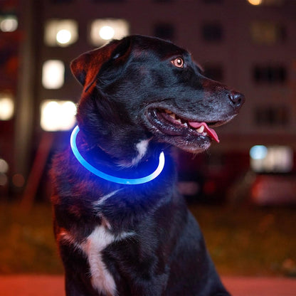 BSEEN USB Rechargeable LED Dog Collar - Enhanced Night Visibility for Small, Medium, and Large Dogs (Blue)
