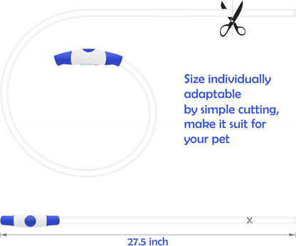 BSEEN USB Rechargeable LED Dog Collar - Enhanced Night Visibility for Small, Medium, and Large Dogs (Blue)