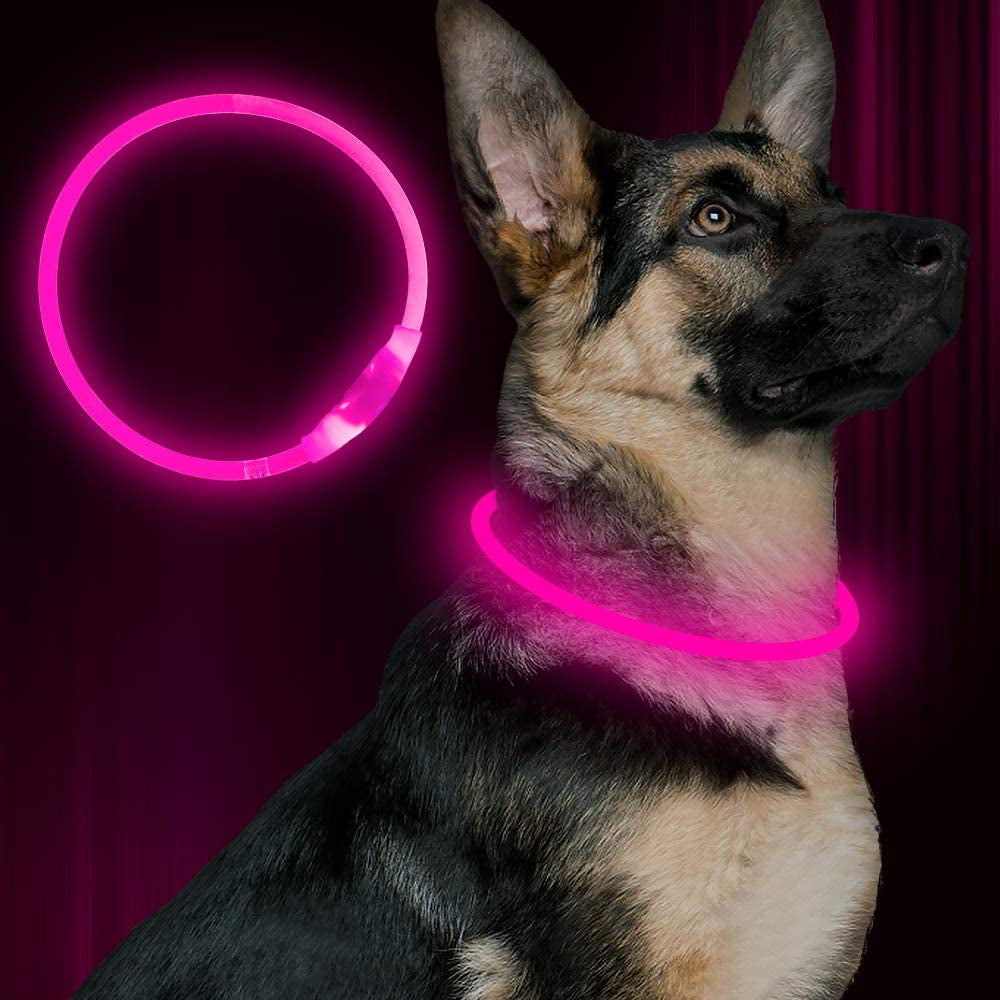 BSEEN USB Rechargeable LED Dog Collar - Enhanced Night Visibility for Small, Medium, and Large Dogs (Blue)